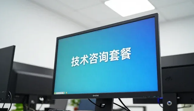 项目对接中的技术适配关键点分析