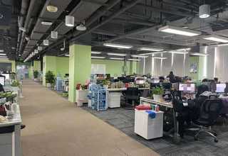 福建白玉蜗牛种培育正规基地