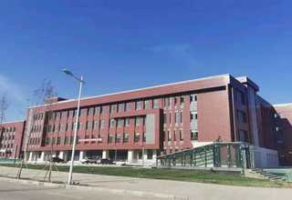 装饰橡木桶价格