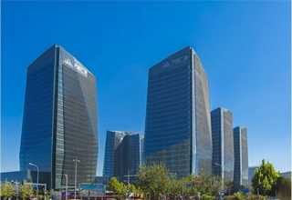 静安区绿植花卉批发价格