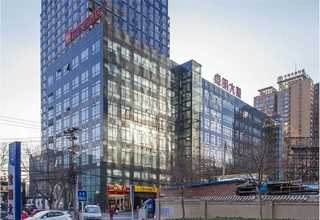 盐湖区桃树树苗市面价