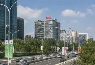 云南倚邦贡茶多少钱一盒